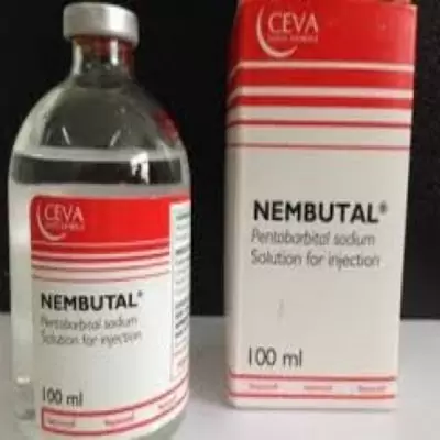 HK$ 800.00 Buy Nembutal Powder Pentobarbital For Sale Central and Western